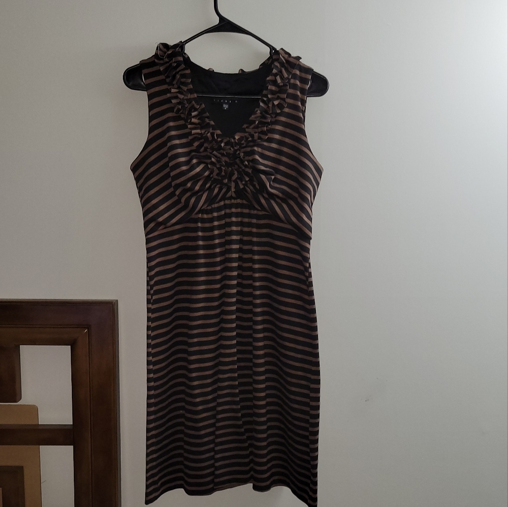 Black and brown striped dress